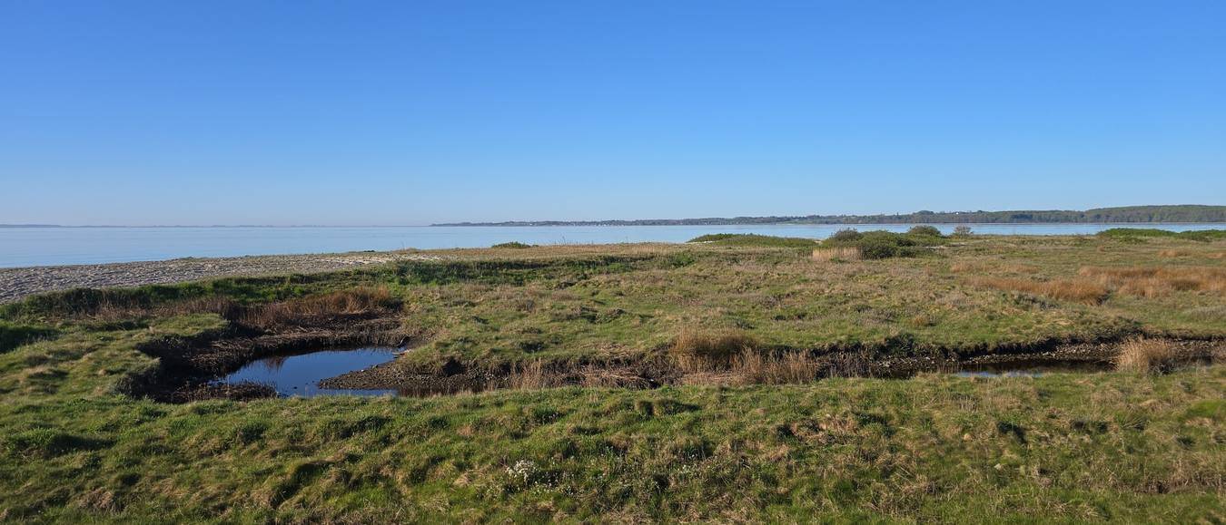 Strandeng med små vandhuller, kystlinje og hav under klar himmel