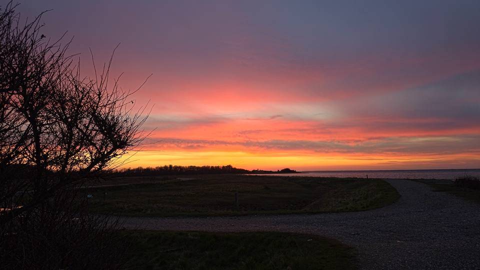 Solnedgang over kysten med en gren i silhuet i forgrunden
